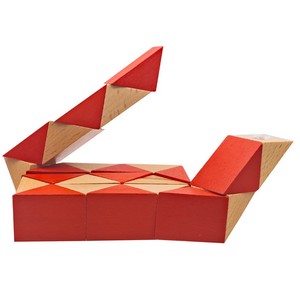 Wooden Snake Puzzle