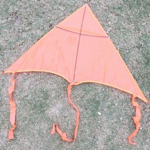 Xl Delta Jumbo Kite - 40" X 20"