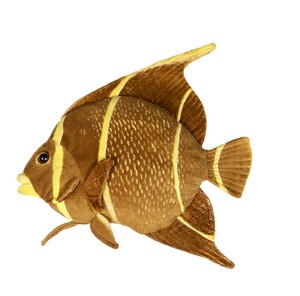 Yellow Fish