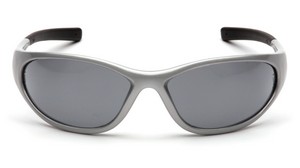 Silver Frame with Gray Lens