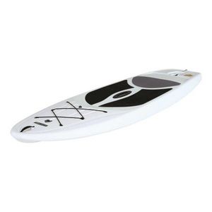 10' LifetimeÂ® Stand Up Paddleboard