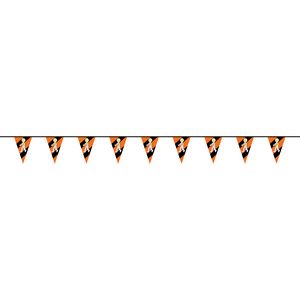 100' PVC Triangular Pennant Strings