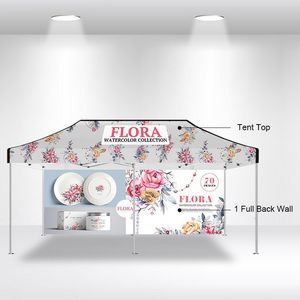 10x20 Canopy Full Package A with Single Sided Full Wall