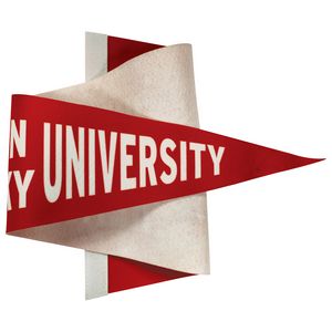 12" x 30" Custom Printed Soft Felt Pennant
