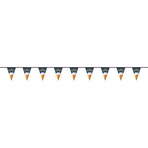 15' PVC Triangular Pennant Strings