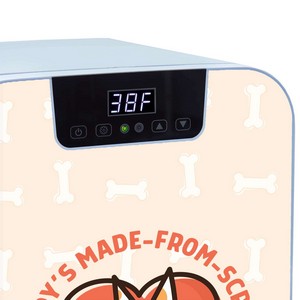 20L Mini Fridge