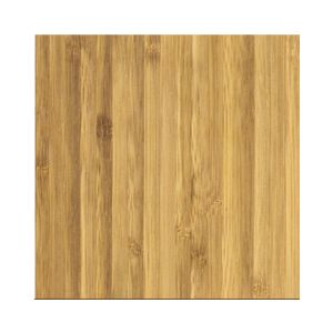 4 Piece Bamboo Coaster Set w/Case