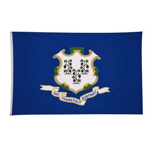 4' x 6'State Flag