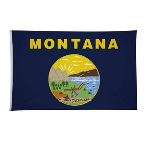 4' x 6'State Flag