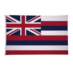 4' x 6'State Flag