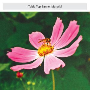 6' Table Cover Full Wall Kit