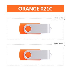 64 MB Classic Swivel USB Flash Drive