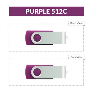 64 MB Classic Swivel USB Flash Drive
