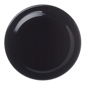 9.25" Plastic Flying Disc