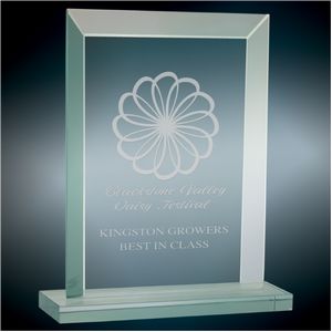 Apex Rectangle Glass Award