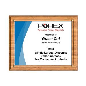 Bamboo Award Plaque-Certificate Presenter Kit-8.5x11" Doc