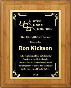 Bamboo Premium Award Plaque 7"x9"