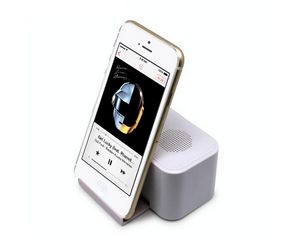 Bluetooth Speaker with Luminous Logo