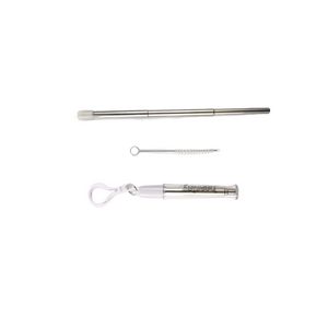Collapsible Stainless Steel Straw Kit