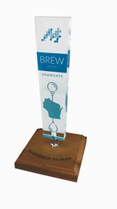 Custom Acrylic Trophy