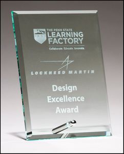 Elite Silver Pin Glass Award I