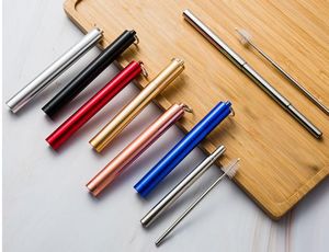 Foldable Straw In a Case