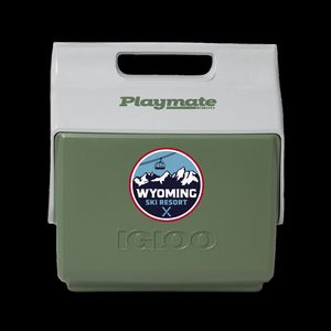 IglooÂ® Ecocool Little Playmate 7 Qt. Cooler