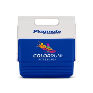IglooÂ® Playmate Mini 4 Qt. Cooler