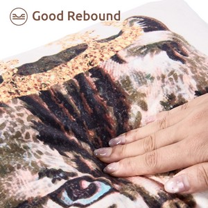 Indoor Square Throw Pillow (Double-Side Sublimation)