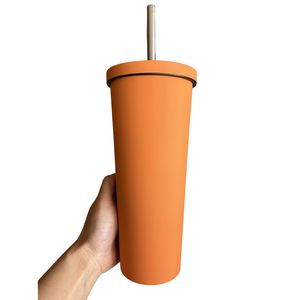 Insulation Tumbler with Straw
