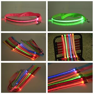 LED Dog Leash w/Reflective Strips