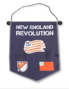 Large (11 3/8"x16 3/4") Championship Banner