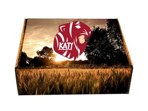 Large Die-Cut Box 3