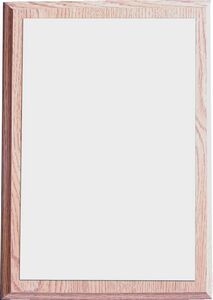 Liberty Color Perpetual Award Plaque 12"x15"