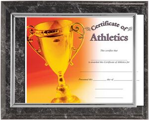 Marbled Black Slide In Certificate Plaque-8x10" Doc