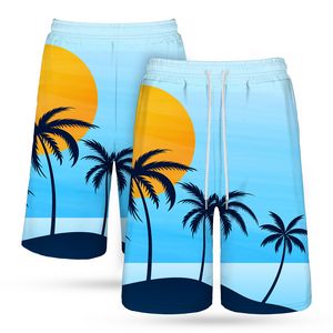 Men's 135 Gsm Dye Sublimation Drawstring Shorts- Stretch Poly