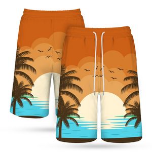 Men's 135 Gsm Dye Sublimation Drawstring Shorts- Stretch Poly