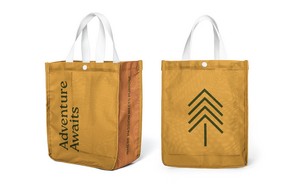 Mesh Lunch Tote