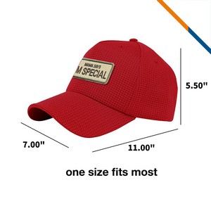 MicVibe Deluxe Mesh Performance Cap