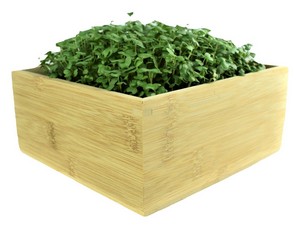 Microgreens Refill Kit