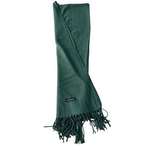 Pashmina Shawl