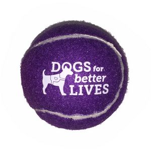 Pet Fetch Toy Tennis Ball