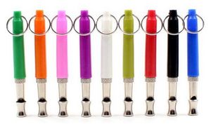 Pet Training Whistle Keychain