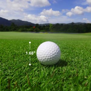 Professional Golf Ball Set -3 Pack
