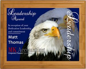 Regent Bamboo Wood Award Plaque 8"x10"