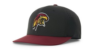 Richardson PTS30 IGNITE LT R-FLEX Hat