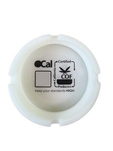 Silicone Ashtray