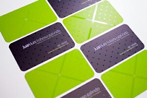 Silk Laminated 16 Pt. Business Card w/ Spot UV Front