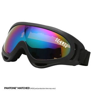 Ski Goggles