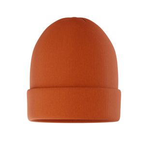 Stock Beanie w/Cuff